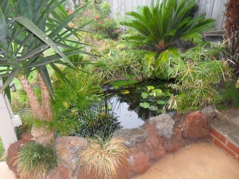 25 Evan Street, Berwick VIC 3806