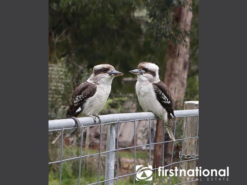 51 Koolbirra  Road, Maryknoll VIC 3812