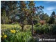 98 Baker Road, Harkaway VIC 3806