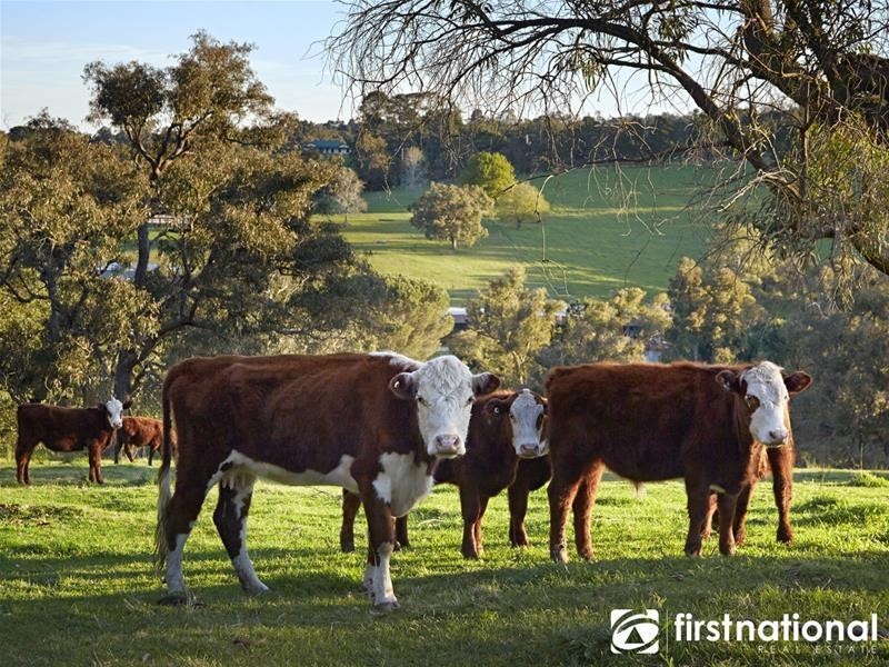 10 Boundary Road, Narre Warren East VIC 3804