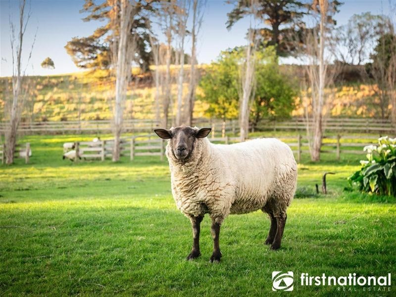 15 Huxtable Road, Pakenham Upper VIC 3810