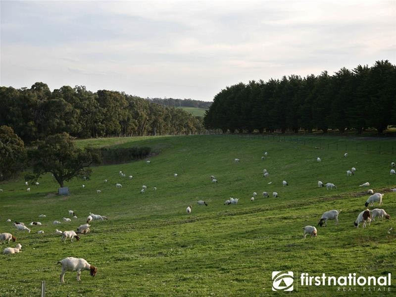 90 Weatherhead Road, Tynong North VIC 3813