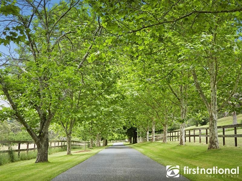 131 Beaumont Road, Berwick VIC 3806