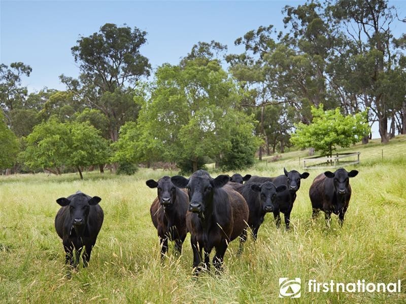 131 Beaumont Road, Berwick VIC 3806