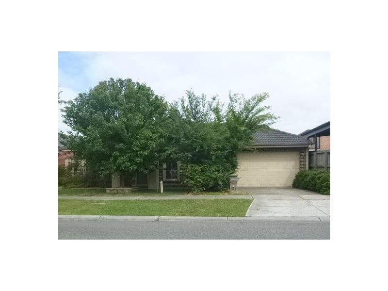 3 Middleton Grove, Berwick VIC 3806