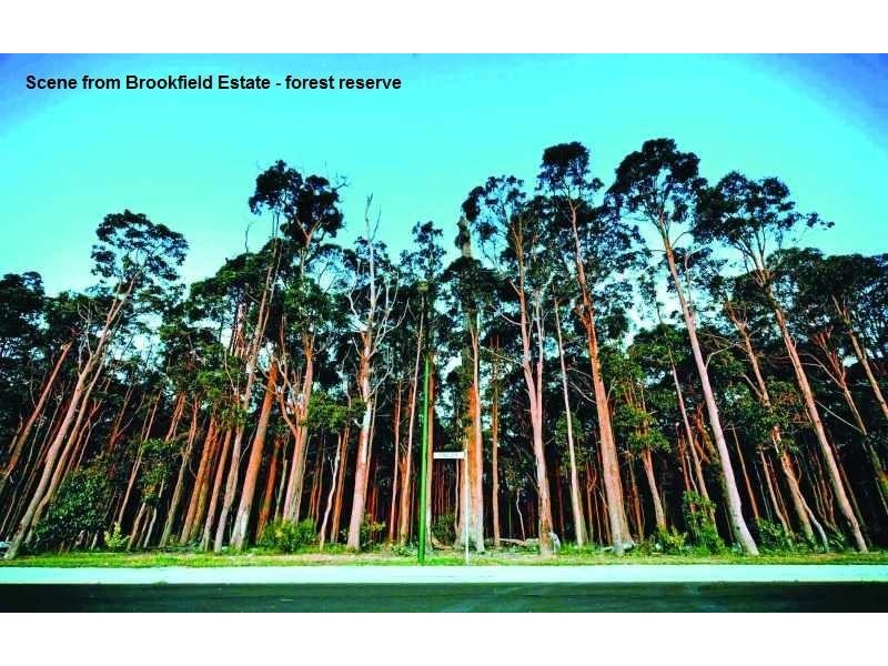 8 (Lot 572) Jansonia  Avenue, Margaret River WA 6285