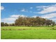 149 & Lot 1751 Barrett Road, Rosa Brook WA 6285