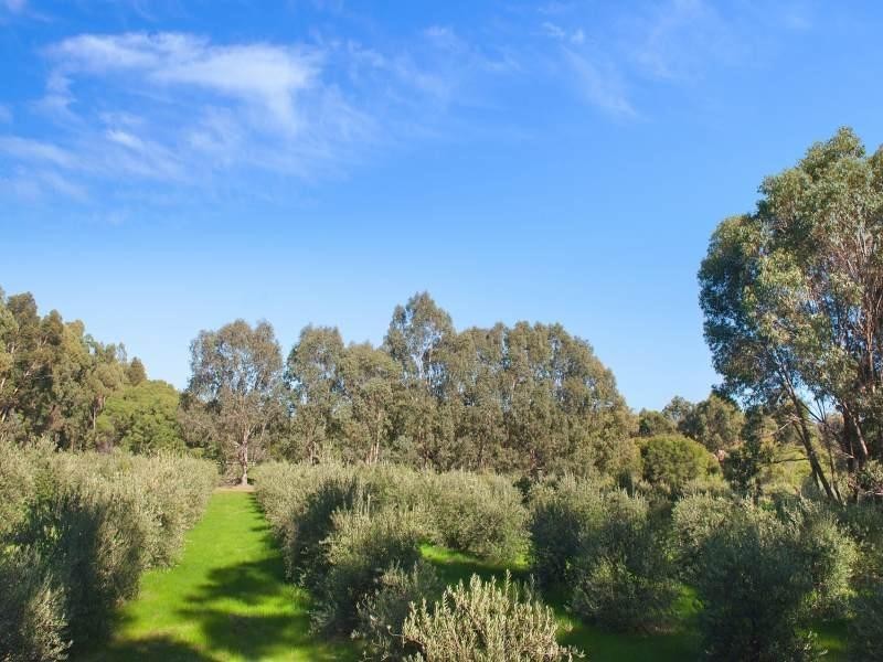 382 Boodjidup Road, Margaret River WA 6285