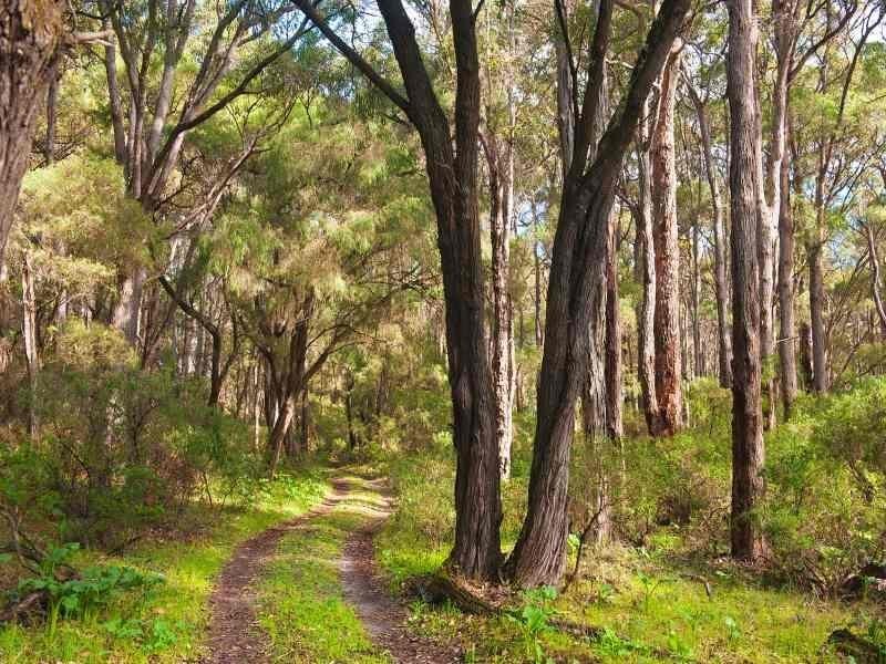 15 Timor Place, Margaret River WA 6285