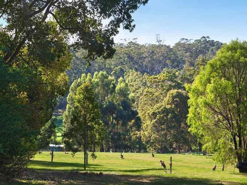 Lot 35, 352 Kevill Road, Margaret River WA 6285