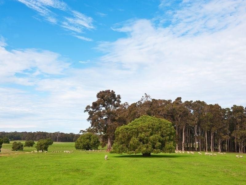 10 Wallis Road, Witchcliffe WA 6286