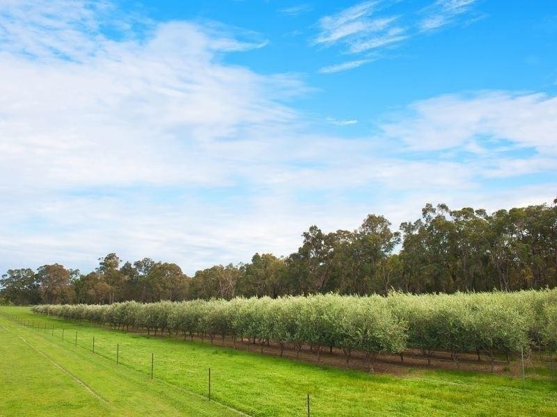 10 Wallis Road, Witchcliffe WA 6286