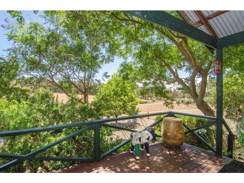 31 Brown Road, Forest Grove WA 6286