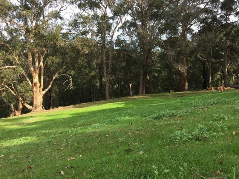 641 Kevill Road, Margaret River WA 6285