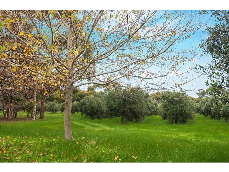 51 Kevill Road, Margaret River WA 6285