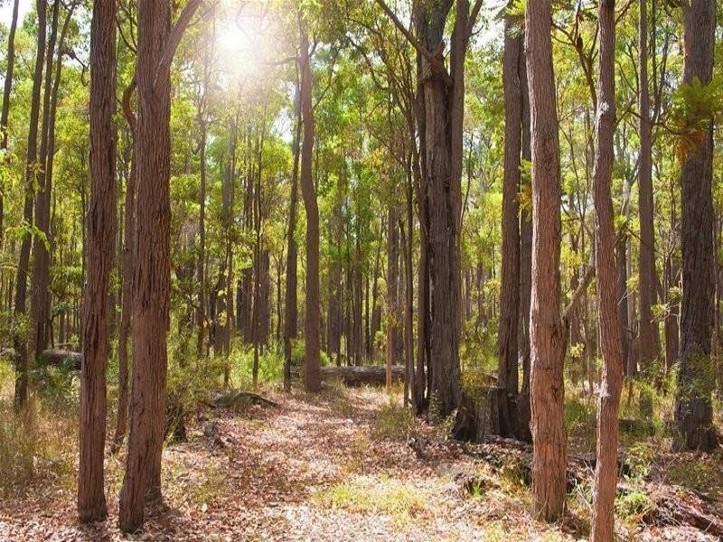 9 Dryandra Drive, Margaret River WA 6285