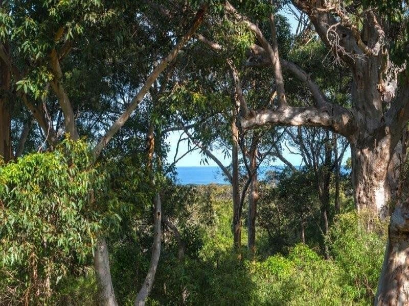 46 Colyer Drive, Hamelin Bay WA 6288