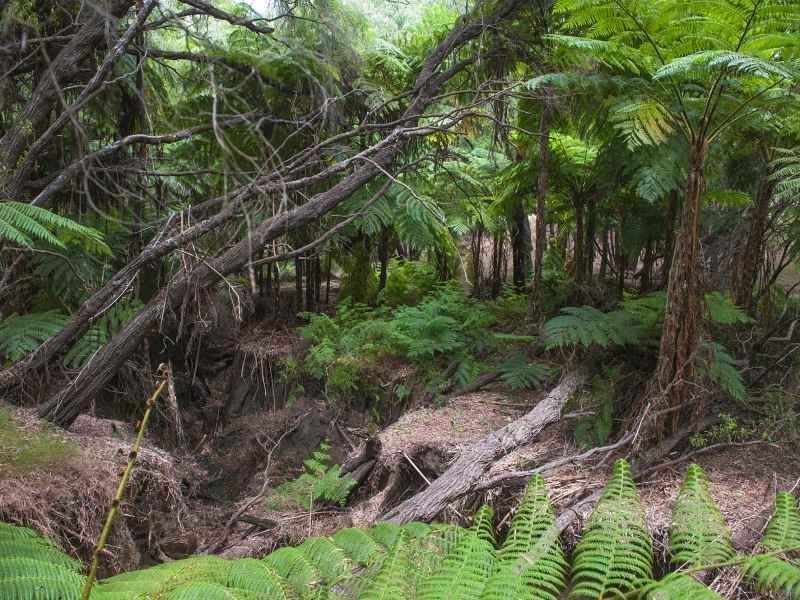 140 Freshwater Drive, Margaret River WA 6285