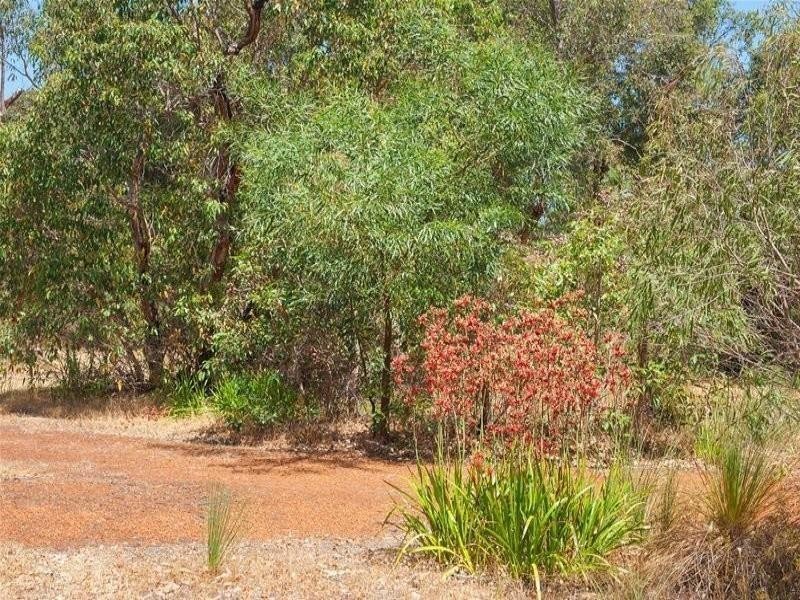 4 Orchid R Amble, Margaret River WA 6285