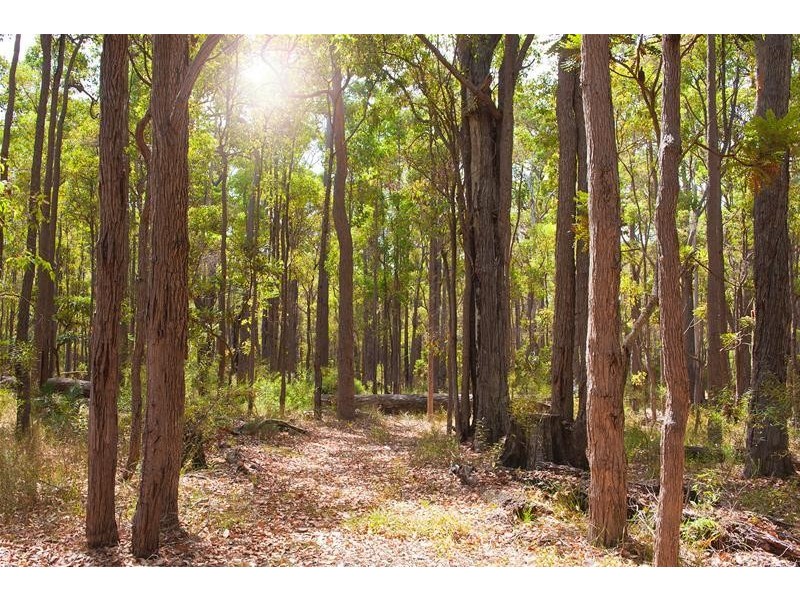 3 Hibbertia Terrace, Margaret River WA 6285