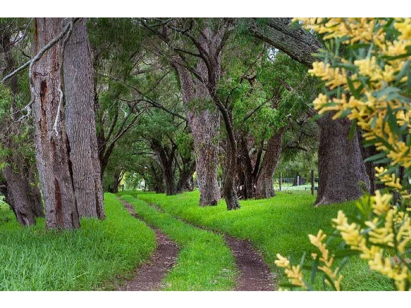 5 Horseford Road, Margaret River WA 6285