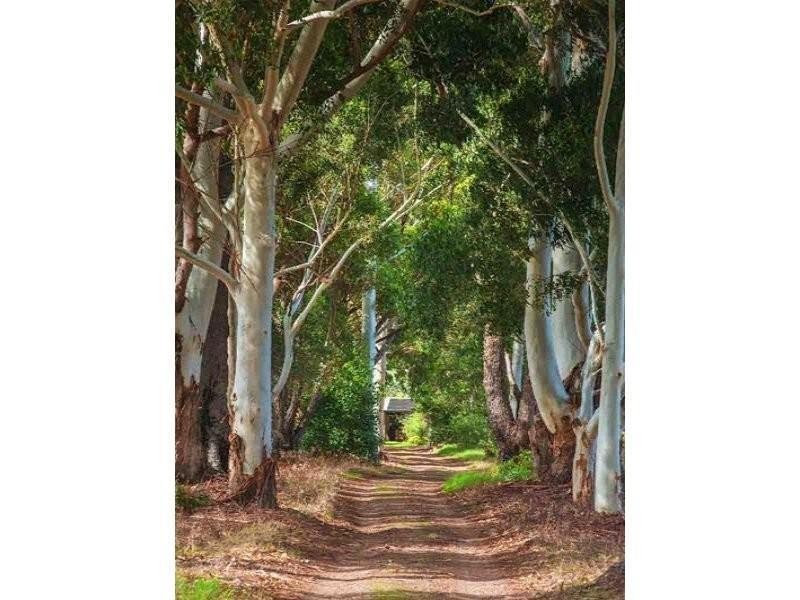 86 Crozier Road, Rosa Brook WA 6285