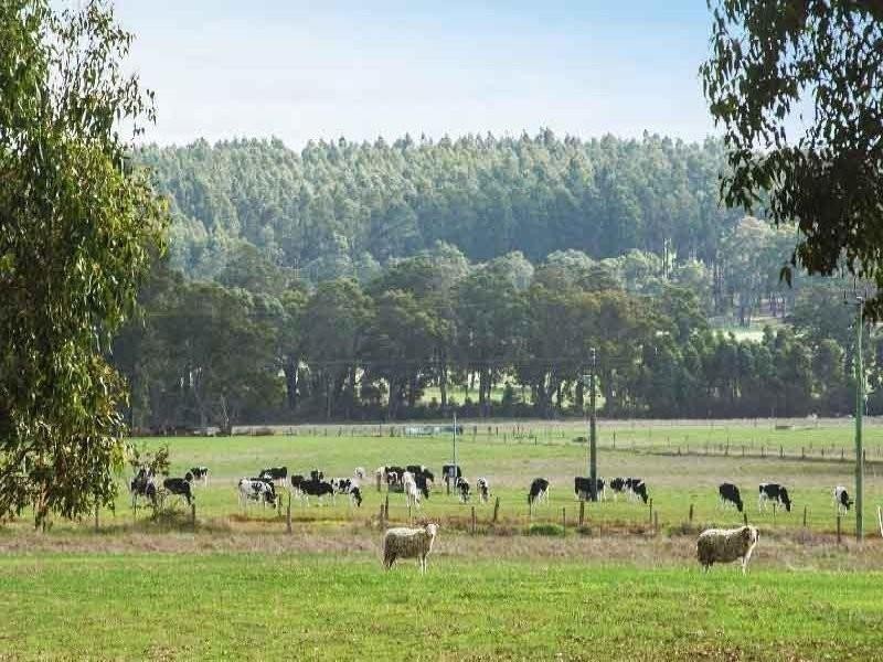 86 Crozier Road, Rosa Brook WA 6285