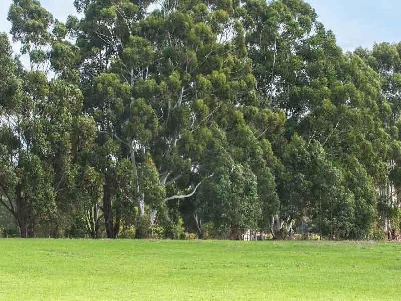 86 Crozier Road, Rosa Brook WA 6285