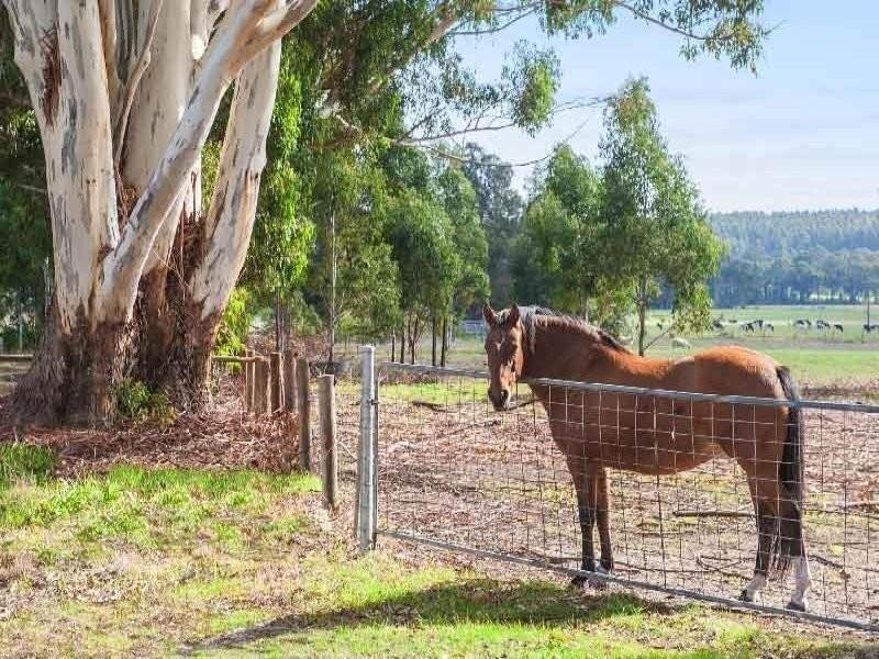 86 Crozier Road, Rosa Brook WA 6285
