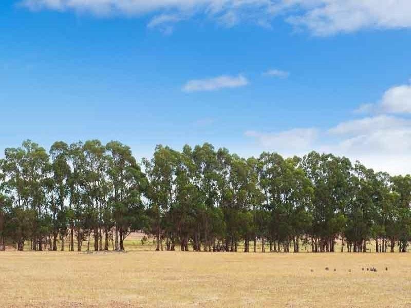 42 Gardiner Road, Cowaramup WA 6284