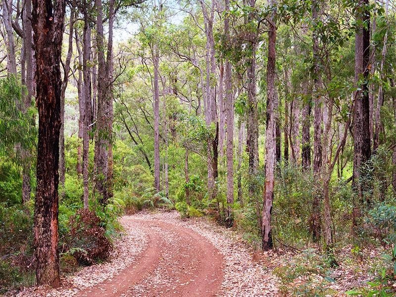 45 Boronia Road, Margaret River WA 6285