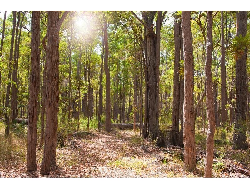 94 (Lot 341) Brookfield Avenue, Margaret River WA 6285
