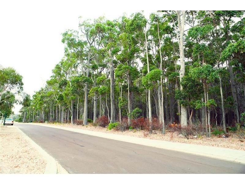 1 (Proposed Lot) Brookfield Avenue, Margaret River WA 6285