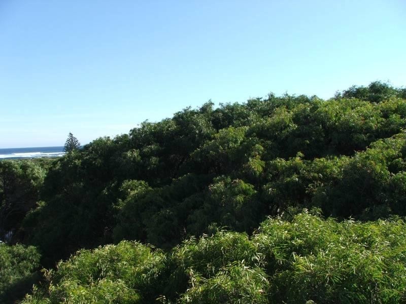 16A Wooredah Crescent, Prevelly WA 6285