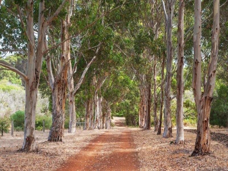 53 Heron Drive, Margaret River WA 6285