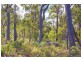 Lot 61, 18 Timber Court, Cowaramup WA 6284