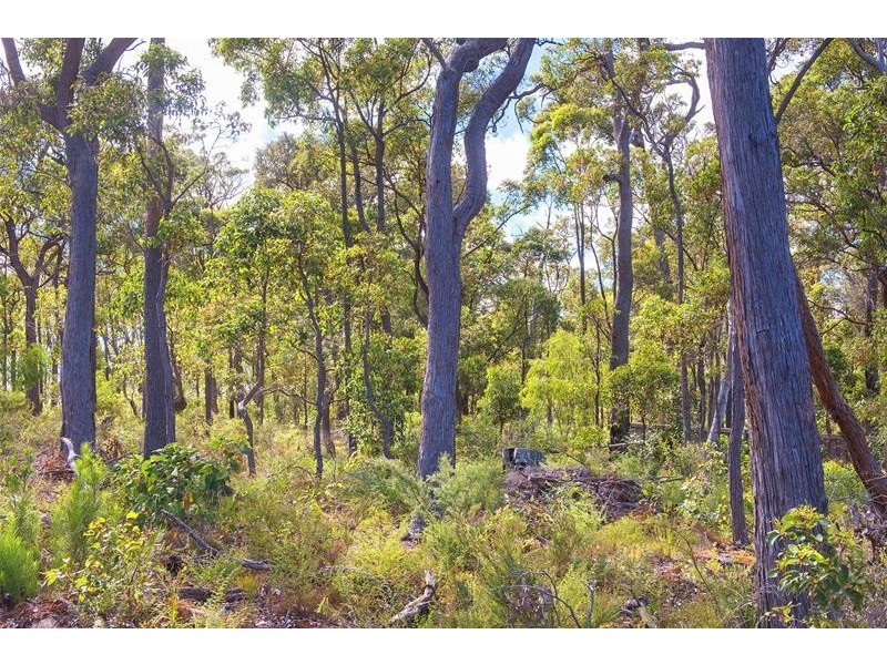 Lot 61, 18 Timber Court, Cowaramup WA 6284