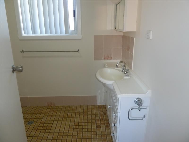 97A Dudley Street, Punchbowl NSW 2196