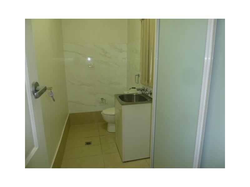 44 Carrisbrook Avenue, Punchbowl NSW 2196