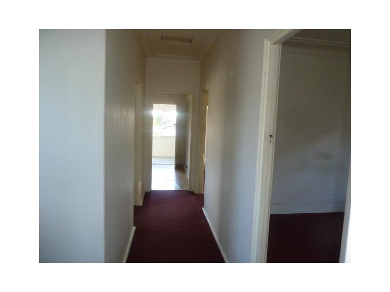 30 Cornelia Street, Wiley Park NSW 2195