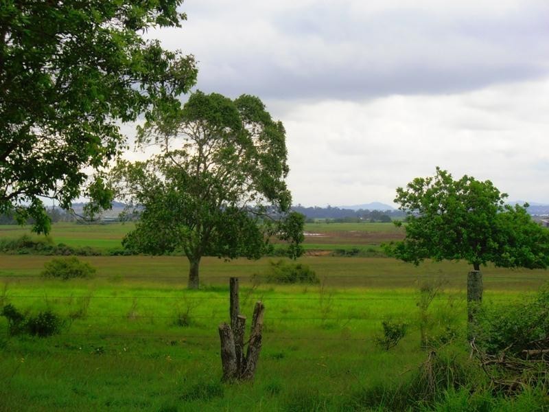 Duckenfield NSW 2321