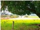 Duckenfield NSW 2321