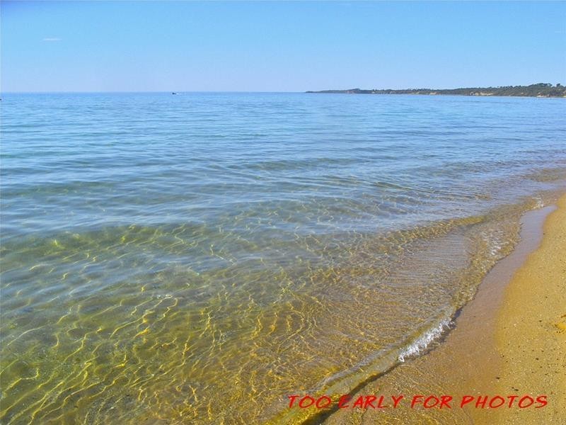 9 Pender Avenue, Mornington VIC 3931