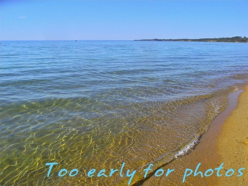 17 Pender Avenue, Mornington VIC 3931