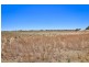 Lot /2 San Mateo & Lot 3 Deakin Avenue, Mildura VIC 3500