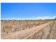 Lot /2 San Mateo & Lot 3 Deakin Avenue, Mildura VIC 3500