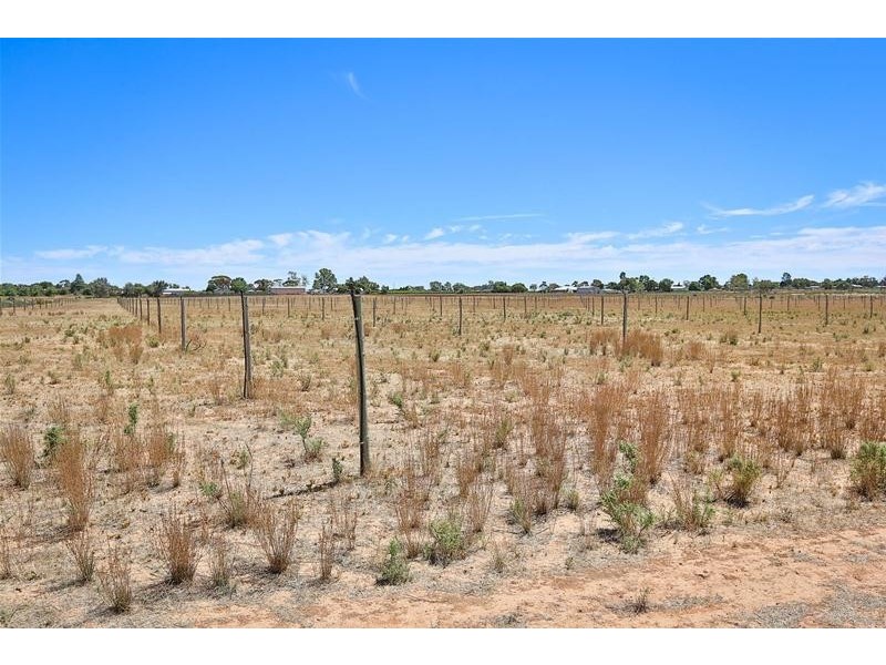 Lot /2 San Mateo & Lot 3 Deakin Avenue, Mildura VIC 3500