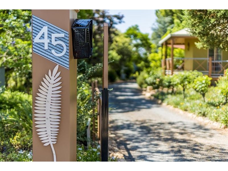 45 Fern Avenue, Irymple VIC 3498