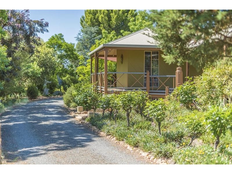 45 Fern Avenue, Irymple VIC 3498
