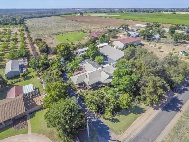45 Fern Avenue, Irymple VIC 3498